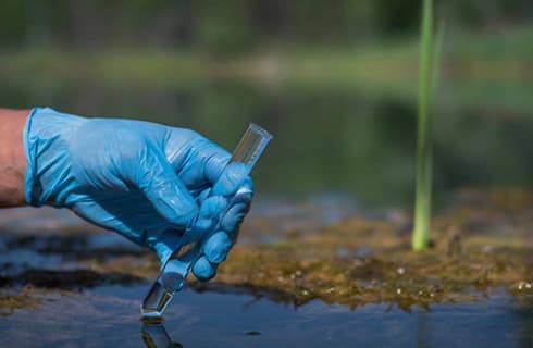 Water Quality Testing and Restoration.