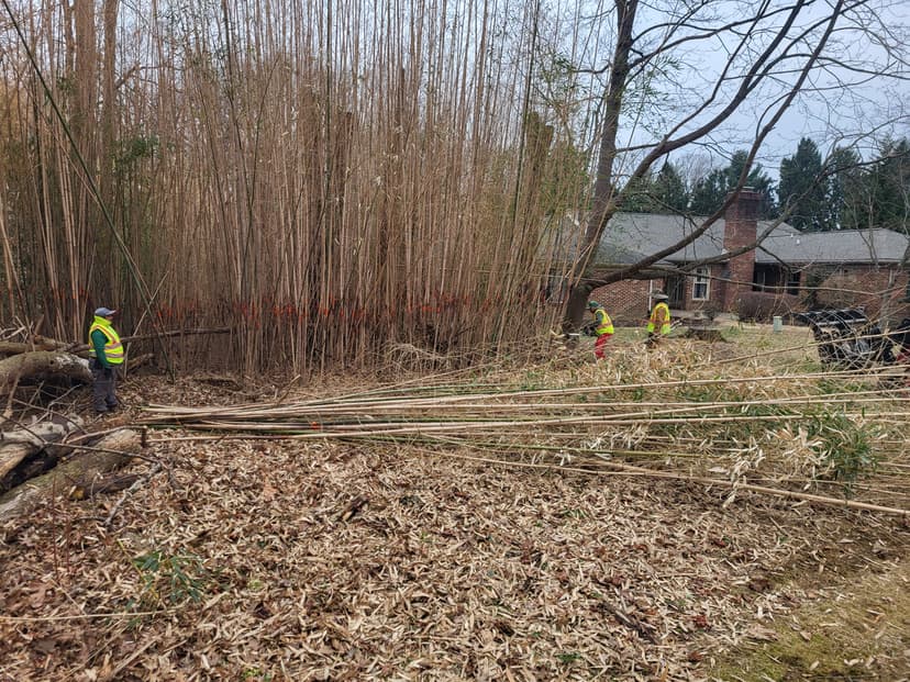 Invasive Species Control