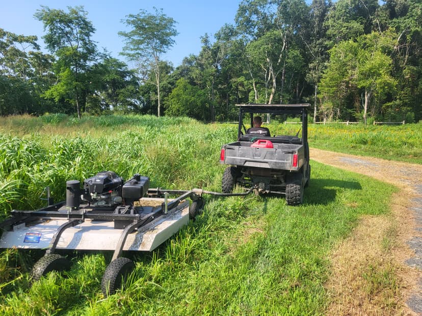 Mowing and Bush Hogging