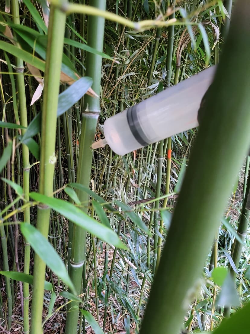 Targeted Herbicide Application