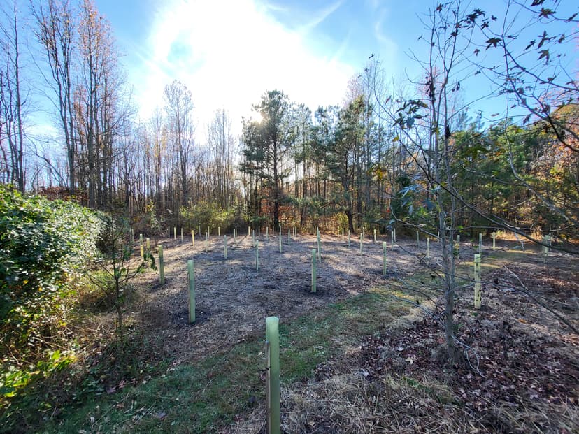 View-Shed Management