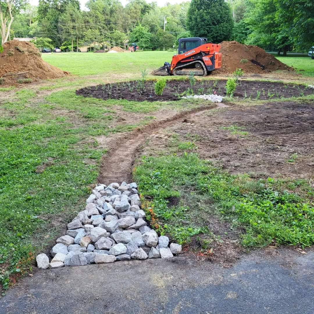 Runoff Waters Vegetation